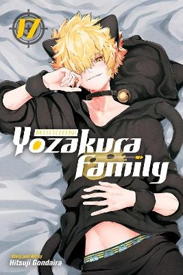Mission: Yozakura Family, Vol. 17 - Hitsuji Gondaira
