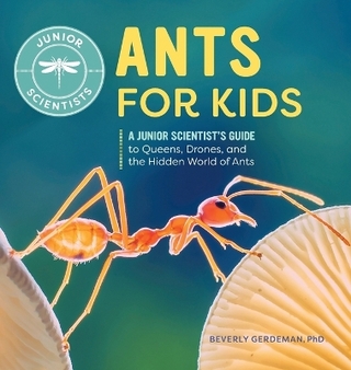 Ants for Kids
