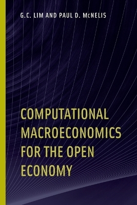 Computational Macroeconomics for the Open Economy