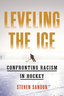 Leveling the Ice - Steven Sandor