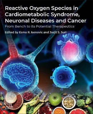 Reactive Oxygen Species in Cardiometabolic Syndrome, Neuronal Diseases and Cancer - 