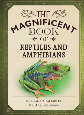 The Magnificent Book of Reptiles and Amphibians - Tom Jackson