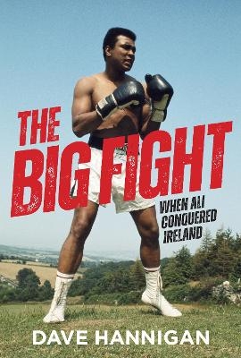 The Big Fight - Dave Hannigan