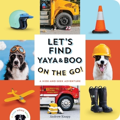 Let's Find Yaya and Boo on the Go! - Andrew Knapp