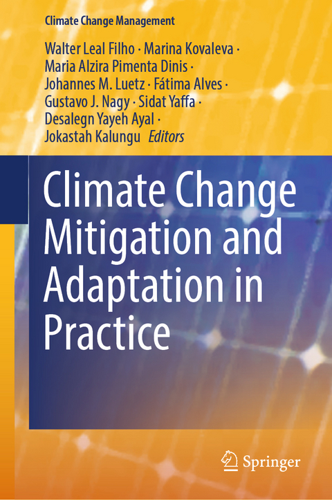 Climate Change Mitigation and Adaptation in Practice - 