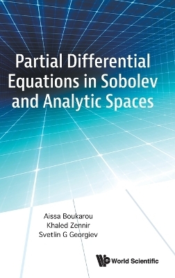 Partial Differential Equations In Sobolev And Analytic Spaces - Aissa Boukarou, Khaled Zennir, Svetlin G Georgiev
