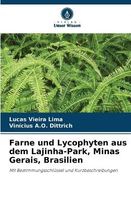 Farne und Lycophyten aus dem Lajinha-Park, Minas Gerais, Brasilien