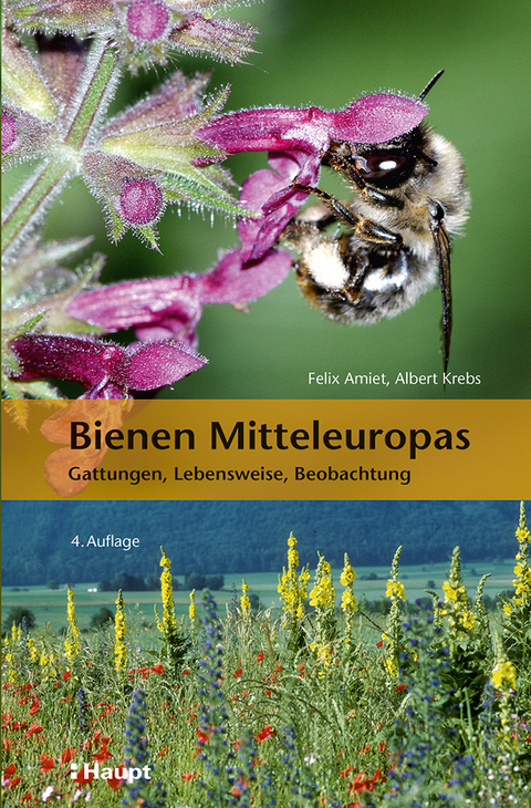 Bienen Mitteleuropas - Felix Amiet, Albert Krebs, Andreas M&uuml;ller