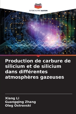 Production de carbure de silicium et de silicium dans diff&eacute;rentes atmosph&egrave;res gazeuses - Xiang Li, Guangqing Zhang, Oleg Ostrovski