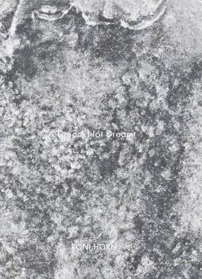 A Dream Not Dreamt - Roni Horn