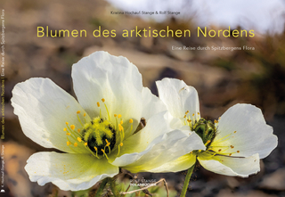 Blumen des arktischen Nordens