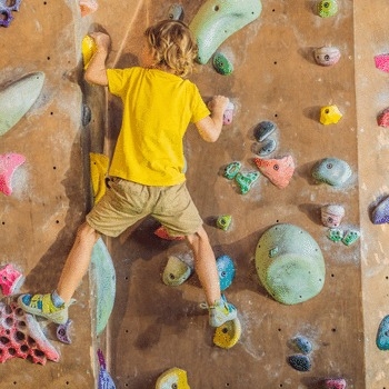 Spielger&auml;te, Sport, Freizeitanlagen online - Modul Sport- und Spielfeldger&auml;te Indoor