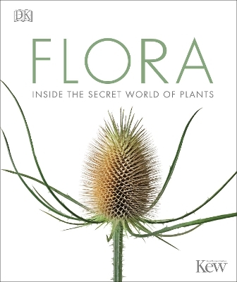 Flora -  Dk