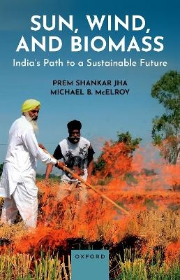 Sun, Wind, and Biomass - Prem Shankar Jha, Michael B. McElroy