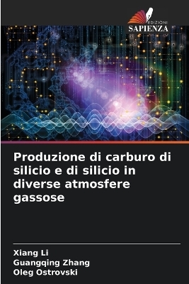 Produzione di carburo di silicio e di silicio in diverse atmosfere gassose - Xiang Li, Guangqing Zhang, Oleg Ostrovski