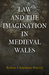 Law and the Imagination in Medieval Wales - Robin Chapman Stacey