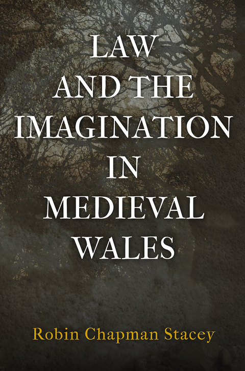 Law and the Imagination in Medieval Wales - Robin Chapman Stacey