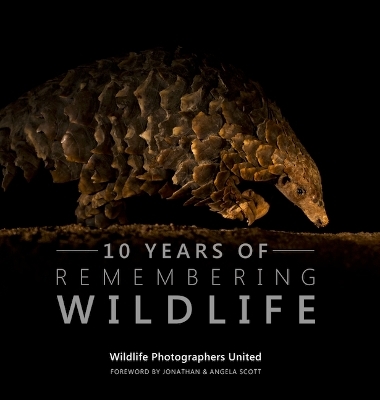 Ten Years of Remembering Wildlife - 