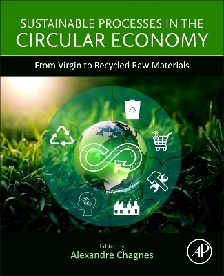 Sustainable Processes in the Circular Economy - 