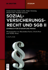 Sozialversicherungsrecht und SGB II - Stefan Greiner, Gülay Celik, Felipe Temming