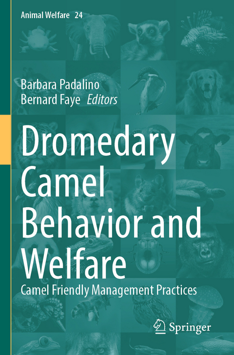 Dromedary Camel Behavior and Welfare - 