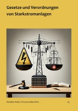 Gvs - Gesetze und Verordnungen von Starkstromanlagen - Vincenzo Barcellini, Dominic Kuhn