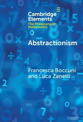 Abstractionism - Francesca Boccuni, Luca Zanetti
