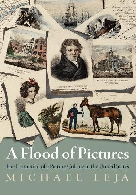 A Flood of Pictures