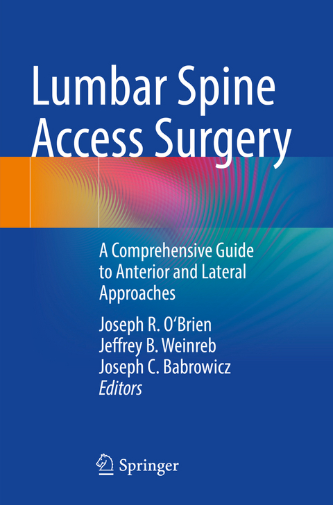 Lumbar Spine Access Surgery - 