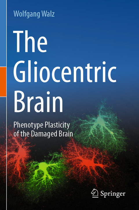 The Gliocentric Brain - Wolfgang Walz