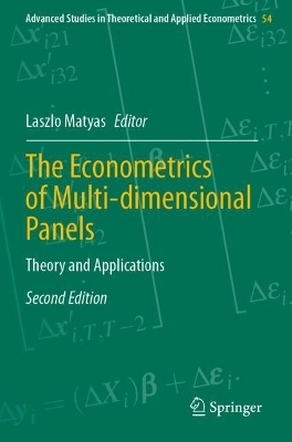 The Econometrics of Multi-dimensional Panels - 