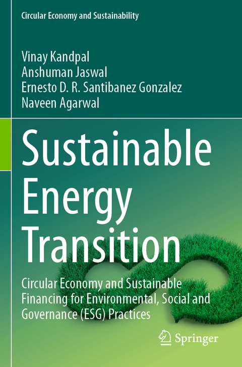 Sustainable Energy Transition - Vinay Kandpal, Anshuman Jaswal, Ernesto D.R. Santibanez Gonzalez, Naveen Agarwal