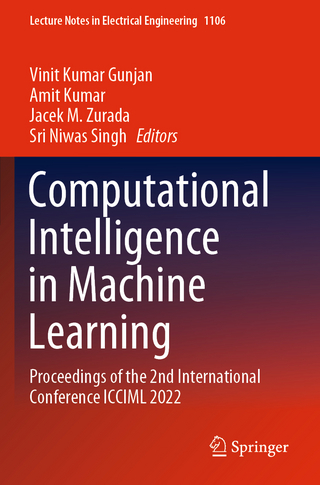 Computational Intelligence in Machine Learning