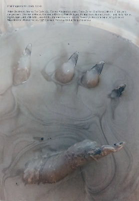 PFEIL #18 - BODY - Nina Kuttler, Anja Dietmann