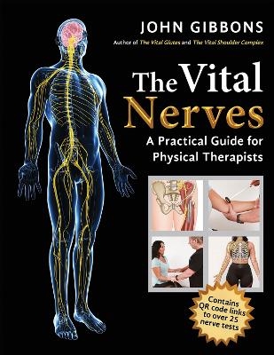 The Vital Nerves - John Gibbons