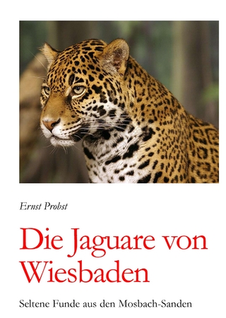 Die Jaguare von Wiesbaden