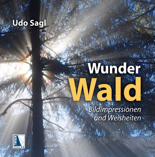 Wunder Wald