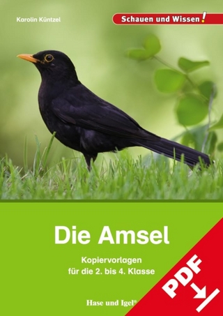 Die Amsel – Kopiervorlagen für die 2. bis 4. Klasse