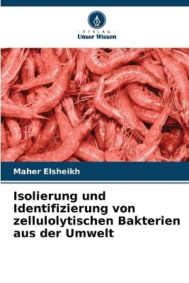 Isolierung und Identifizierung von zellulolytischen Bakterien aus der Umwelt - Maher Elsheikh