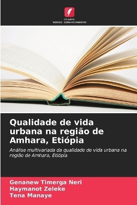 Qualidade de vida urbana na região de Amhara, Etiópia
