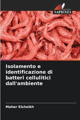 Isolamento e identificazione di batteri cellulitici dall'ambiente