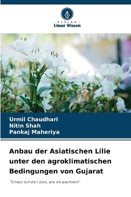 Anbau der Asiatischen Lilie unter den agroklimatischen Bedingungen von Gujarat