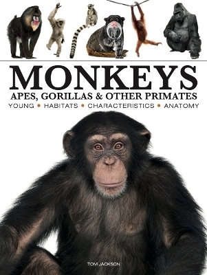 Monkeys - Tom Jackson