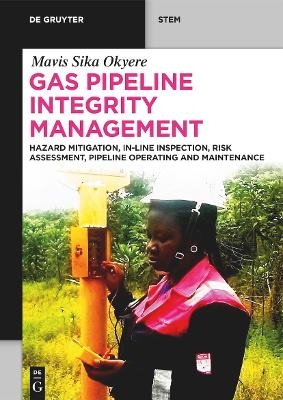 Gas Pipeline Integrity Management