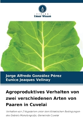 Agroproduktives Verhalten von zwei verschiedenen Arten von Paaren in Cuvelai