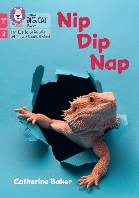Nip Dip Nap - Catherine Baker