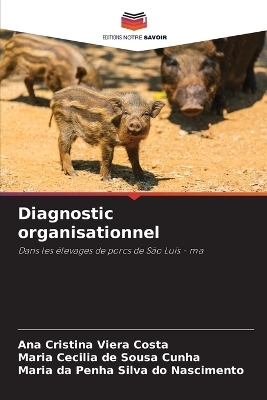Diagnostic organisationnel