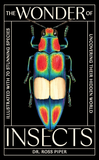 The Wonder of Insects: Uncovering their Hidden World