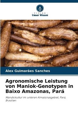 Agronomische Leistung von Maniok-Genotypen in Baixo Amazonas, Pará