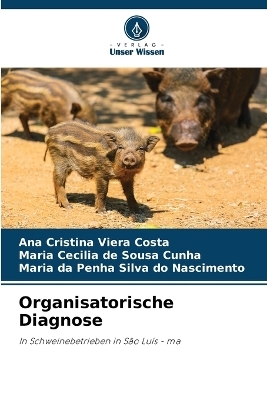 Organisatorische Diagnose - Ana Cristina Viera Costa, Maria Cecilia de Sousa Cunha, Maria da Penha Silva do Nascimento